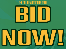 Online Auction - Bid Now!